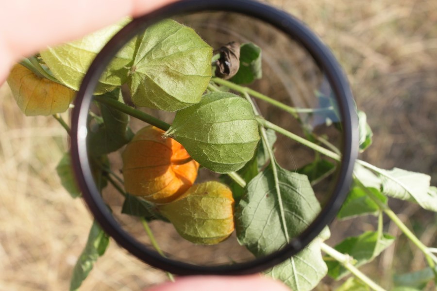 What is Natural Light Photography? Definition & How to Use It 13 polarizing filter