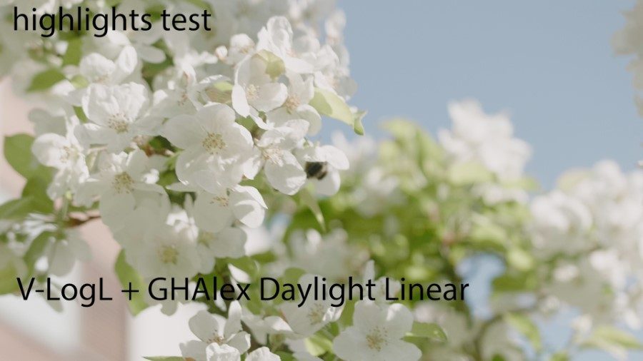GHAlex LUT Daylight Linear GH5 highlights test