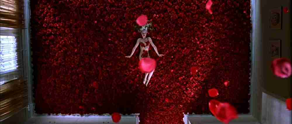 Third-person Omniscient Point of View. Meaning & Examples in Film 2 Birds eye view from American Beauty16 65 999 424