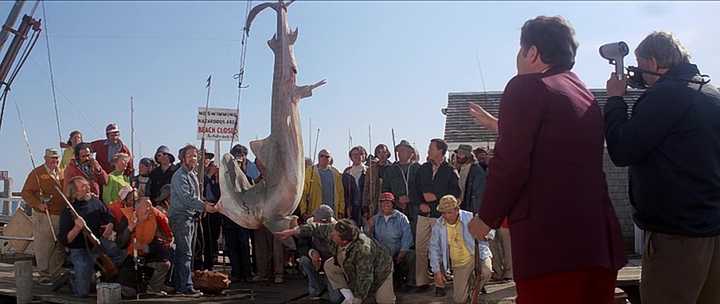 What is Irony in Film? And How To Use It in a Screenplay 4 A crowd gathers at a dock as a small shark hangs from a scale while people gesture and watch.