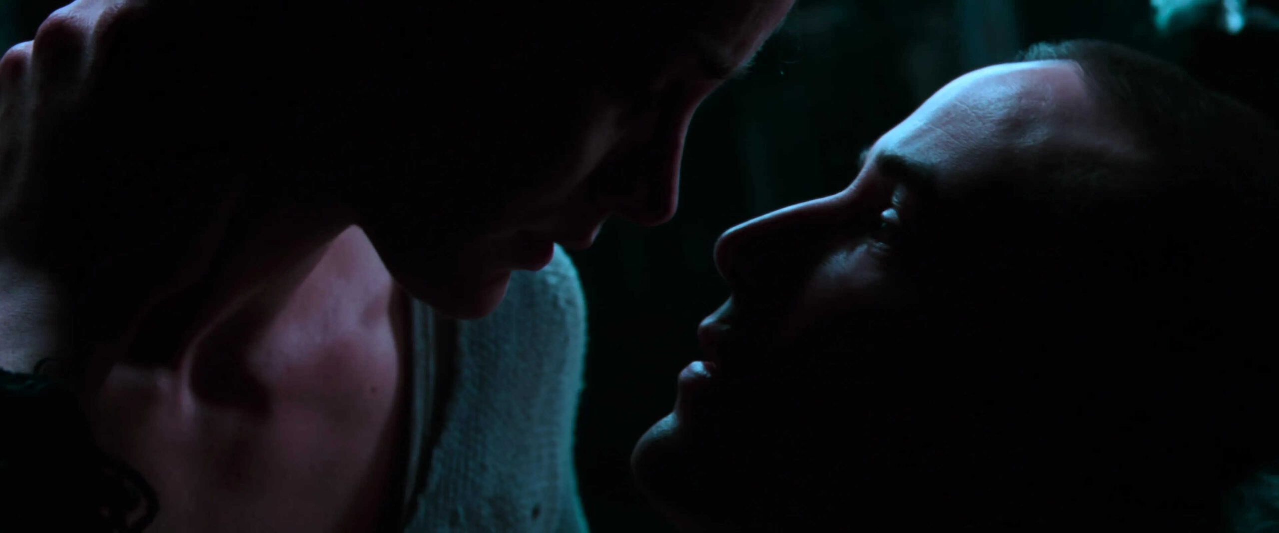 What is Campbell's Monomyth? A Hero Guide for Filmmakers 18 Neo wakes up and looks into Trinity’s eyes after defeating Agent Smith