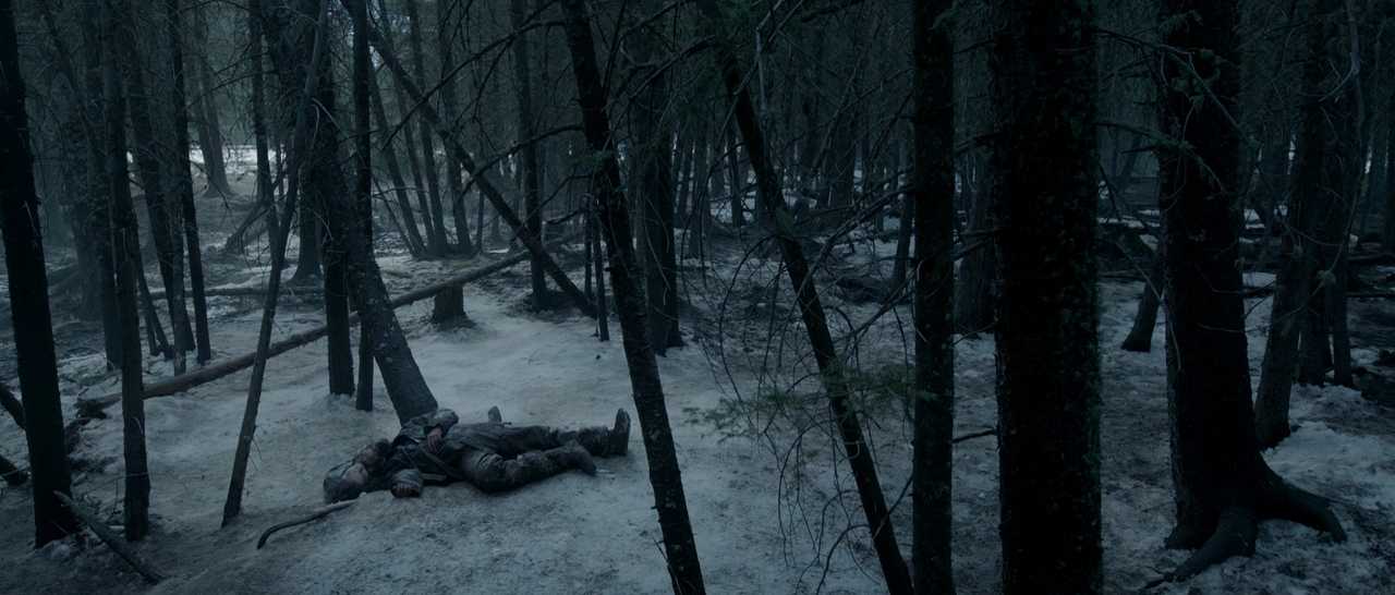 What Is Conflict in Film? Meaning, Types & Film Examples 4 Hugh Glass lies wounded on snowy ground in a forest after a bear attack.