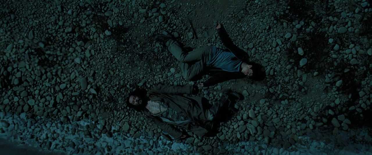 Paradox in Film: Definition, Types, and Movie Examples 7 Harry and Sirius lie unconscious by the water’s edge, viewed from above under moonlight.