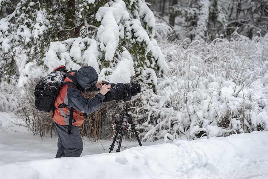 Movie Genres List. Overview of Main Genres, Subgenres, and Film. 16 nature documentary 900 600