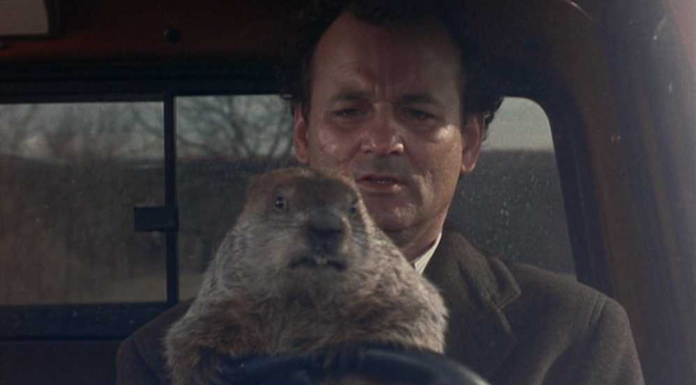 What is Characterization? Elements Defining Your Characters 11 Phil sits behind the wheel of a truck with the groundhog in front of him, framed in a tight shot through the windshield.