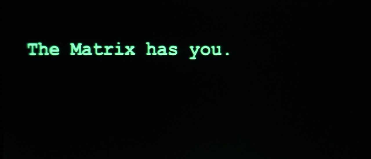 What is Verisimilitude in Film? Definition, Types & Examples 3 Green text on a black computer screen reads, “The Matrix has you.”
