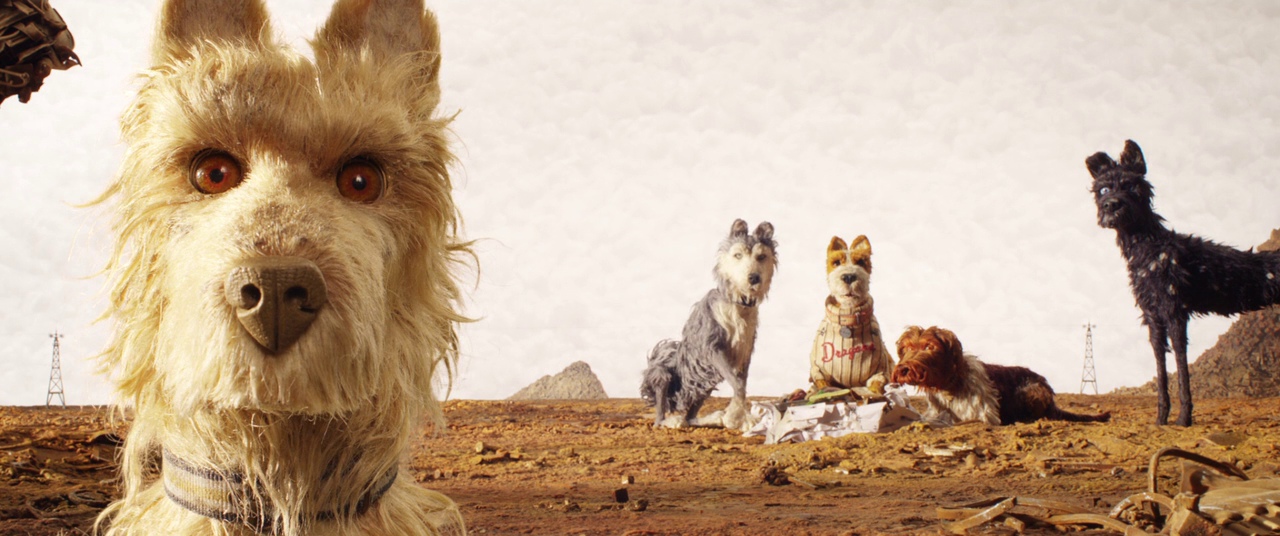 Guide: Best Wes Anderson Movies (For Filmmakers to Learn From) 9 A close-up of a stop-motion dog with four other dogs behind it on a desolate trash-strewn island in Isle of Dogs