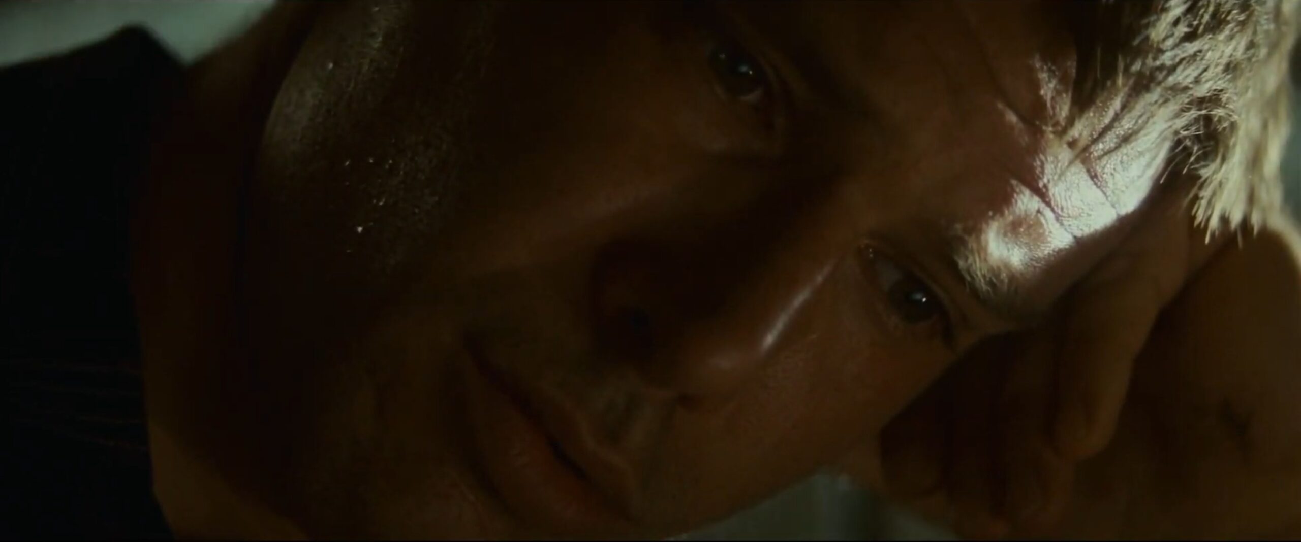What is a Cutaway Shot in Film? Definition, Examples & Uses 2 Bladerunner 2007 Final Cut Unicorn Cutaway Shot Example 1 scaled