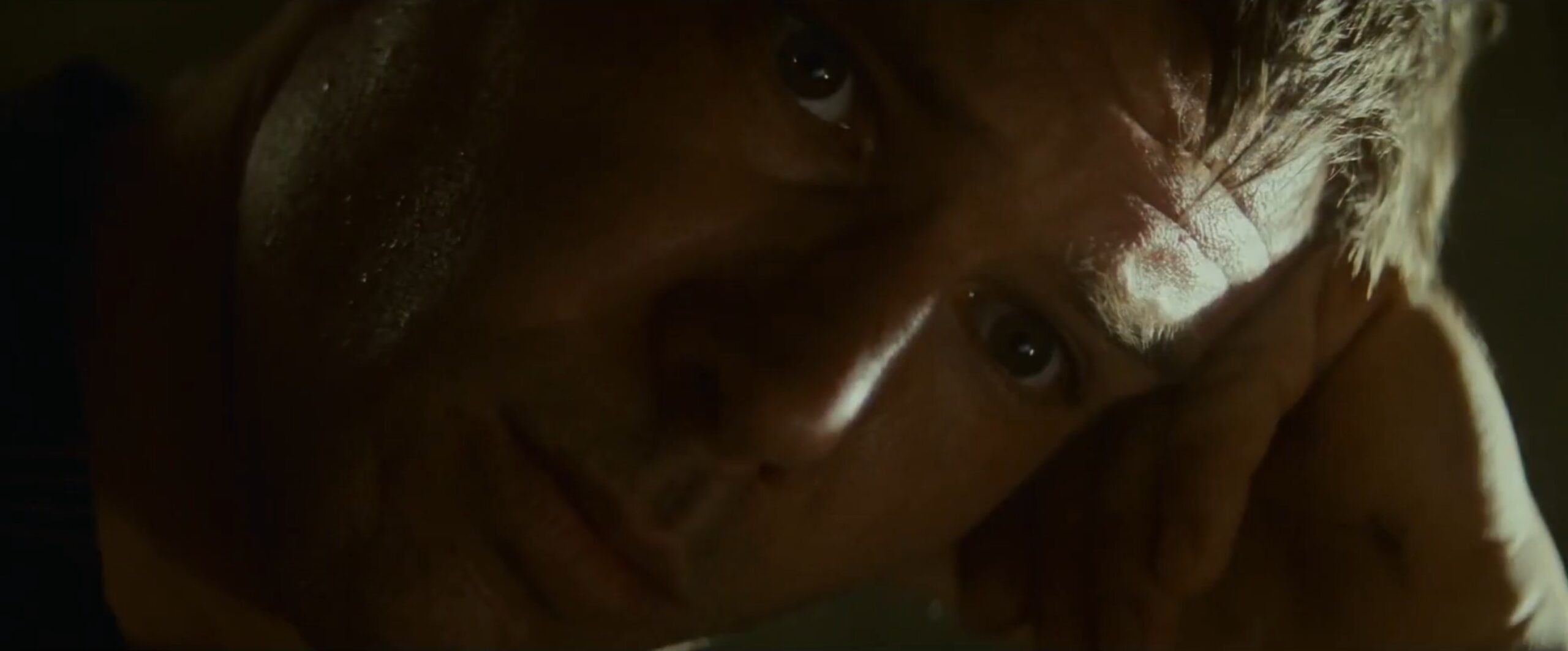What is a Cutaway Shot in Film? Definition, Examples & Uses 4 Bladerunner 2007 Final Cut Unicorn Cutaway Shot Example 3 scaled