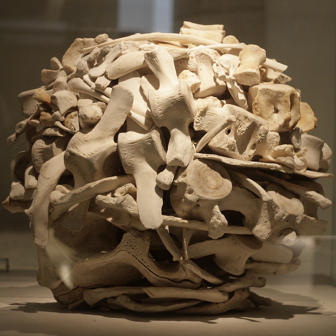 What Is Radial Balance in Art? A Clear Guide with Visual Examples 8 Sculptural sphere made of interlocked animal bones by Andy Goldsworthy