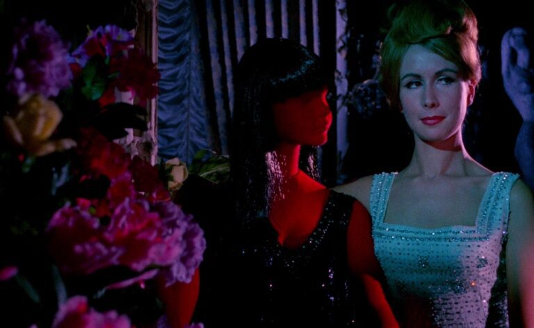 What Are Giallo Films Definition History Key Examples FilmDaft what-are-giallo-films-definition-history-key-examples-filmdaft