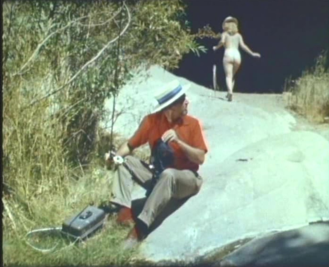 What Are Sexploitation Films? Definition, Movies & Global Impact 4 A man in a straw hat crouches in the bushes, watching a nude woman walk away on a rocky path.