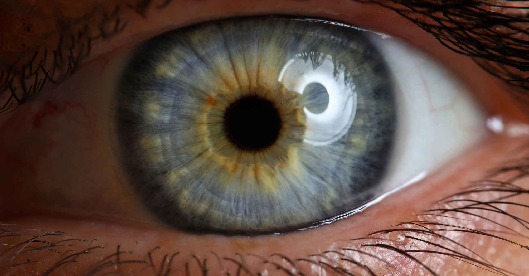 What is Fill‑the‑Frame Photography? Definition & How You Use It 6 macro shot of an eye
