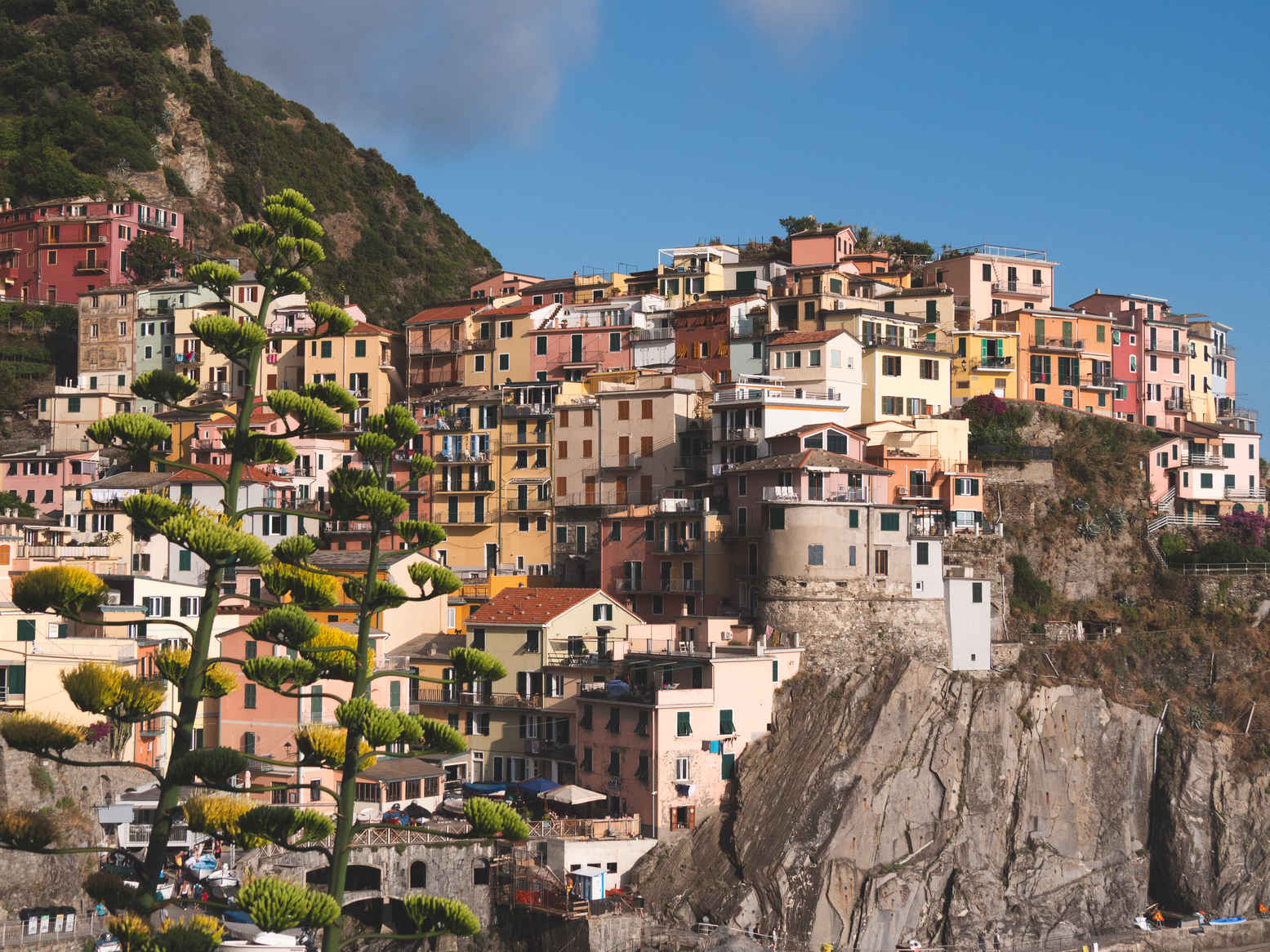 Types of Photography: Genres, Styles & Techniques Explained 6 Manarola, Cinque Terre, with agave plant in foreground and pastel cliffside buildings