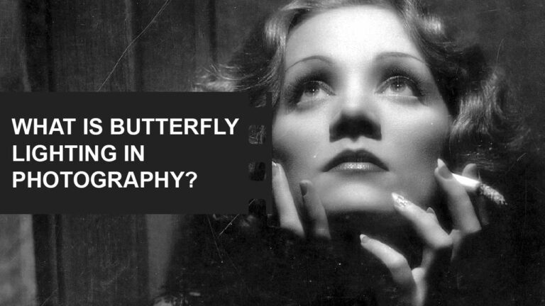 Photography: Capture the World Through Your Lens 43 What is Butterfly lighting photography definition featured image