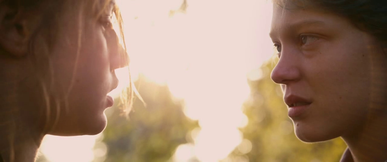 What Is Queer Theory? Definition & Film Examples 3 Emma and Adèle face each other in sunlight, with Emma looking firm and Adèle emotional.