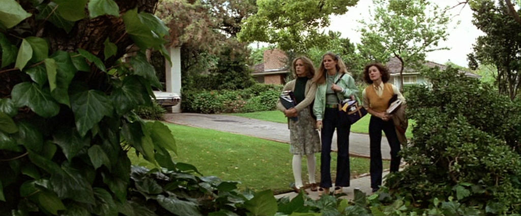 What is a Subgenre? Meaning & Examples from Cinema. 5 Three teenage girls walking along a suburban sidewalk in daylight, seen through leaves from a hidden viewpoint.