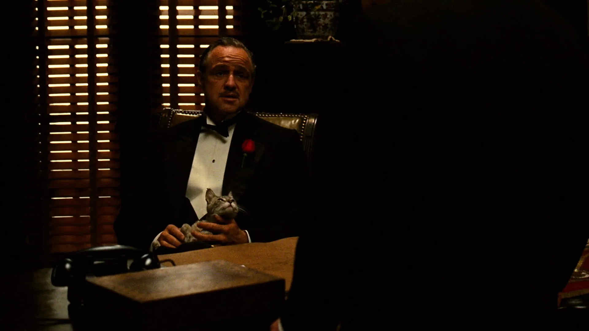 Semiotics in Film Studies: Signs, Codes and Meaning 2 A man in a tuxedo sits behind a desk in a dark office, holding a cat. Window blinds behind him let in narrow strips of light, and a standing figure in the foreground is out of focus.